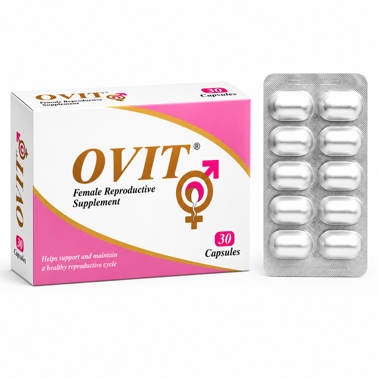 Ovit